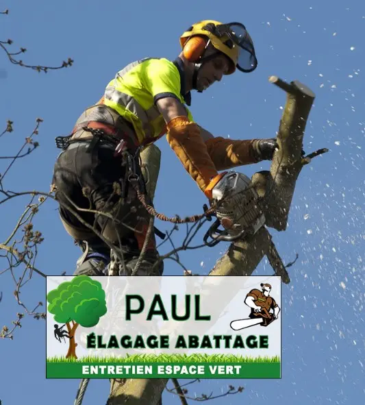Paul Élagage Abattage Saint-Georges-de-Didonne Royan Paul Élagage Abattage Saint-Georges-de-Didonne Royan